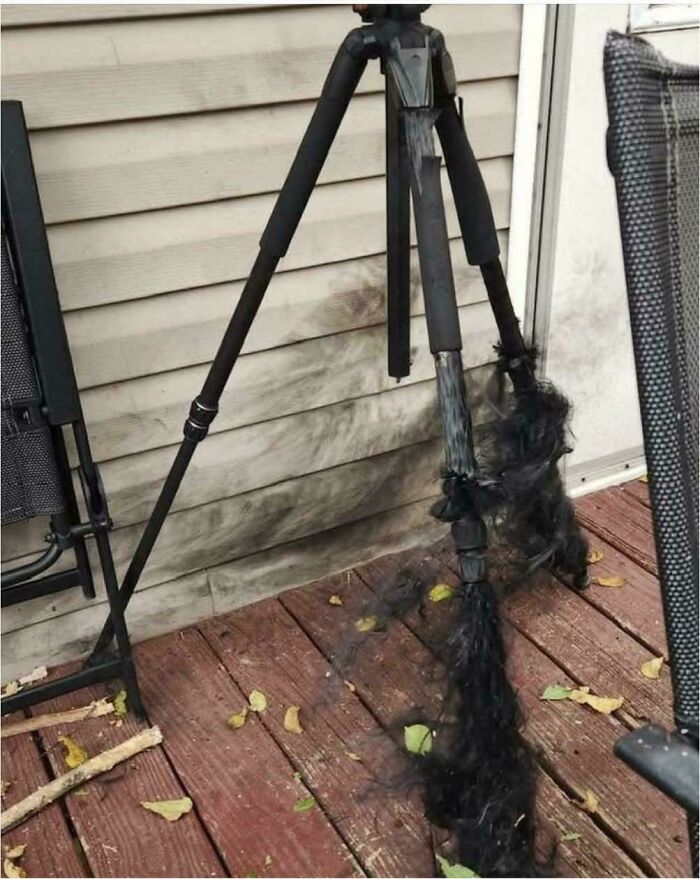 81 Interesting Pics That Answer Questions You Didn’t Know You Needed To Ask 81 Interesting Pics That Answer Questions You Didn’t Know You Needed To Ask