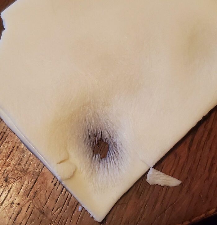 81 Interesting Pics That Answer Questions You Didn’t Know You Needed To Ask 81 Interesting Pics That Answer Questions You Didn’t Know You Needed To Ask