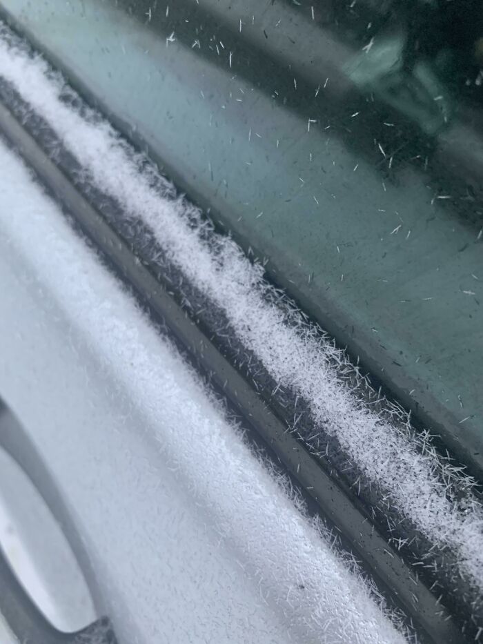 81 Interesting Pics That Answer Questions You Didn’t Know You Needed To Ask 81 Interesting Pics That Answer Questions You Didn’t Know You Needed To Ask