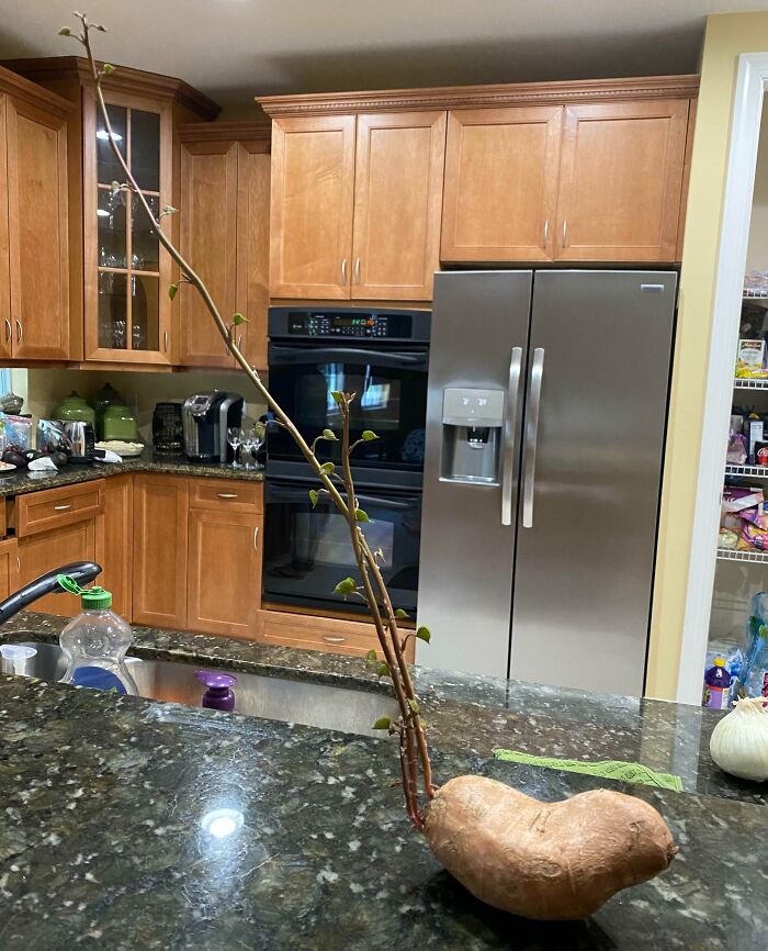 81 Interesting Pics That Answer Questions You Didn’t Know You Needed To Ask 81 Interesting Pics That Answer Questions You Didn’t Know You Needed To Ask