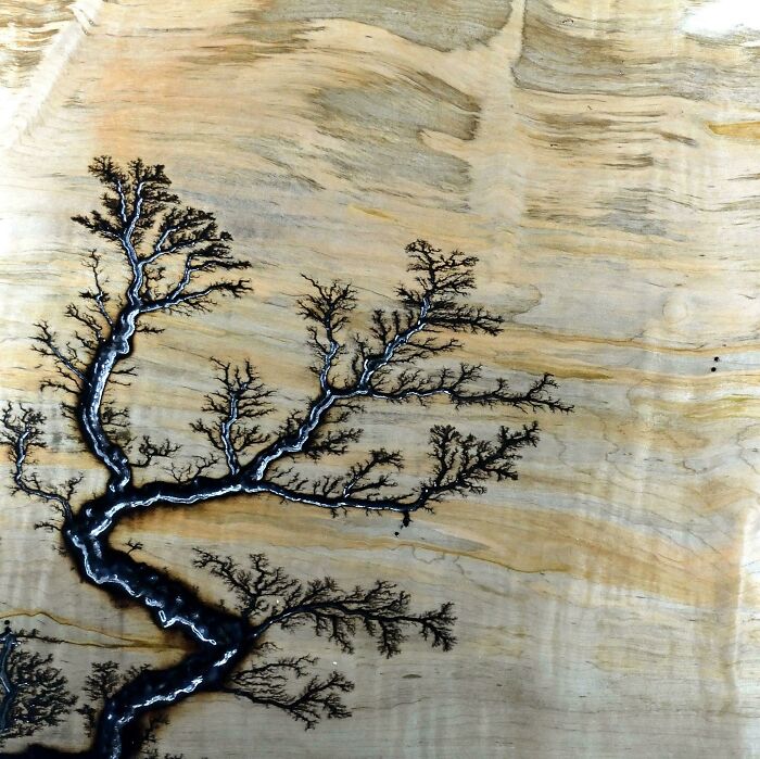 81 Interesting Pics That Answer Questions You Didn’t Know You Needed To Ask 81 Interesting Pics That Answer Questions You Didn’t Know You Needed To Ask