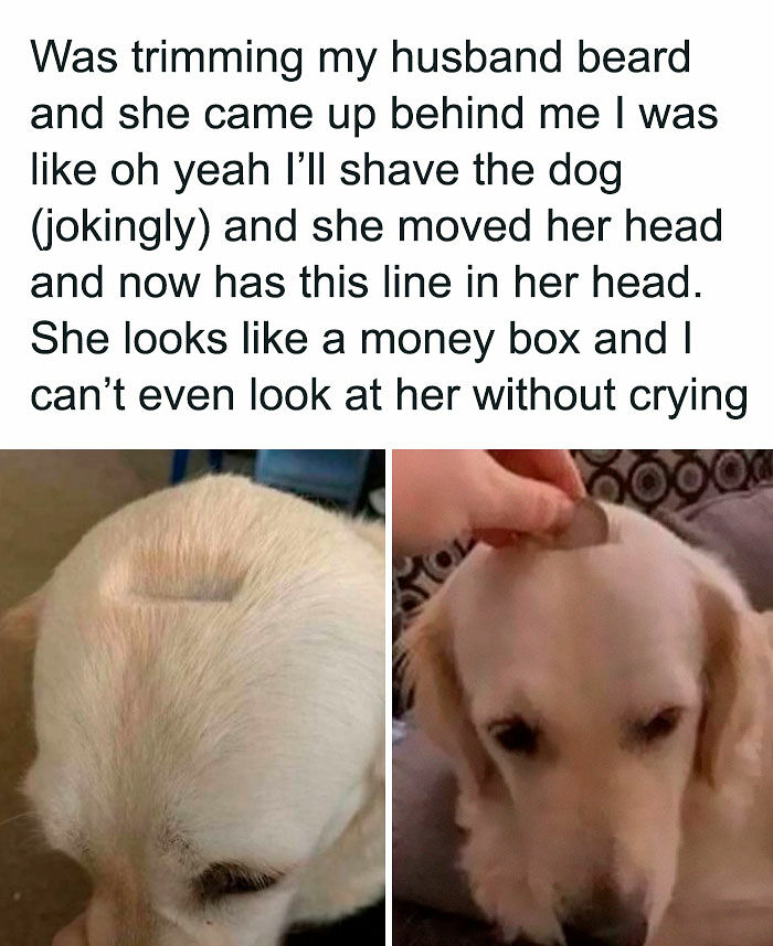 If You Need A Laugh Today, ‘Laughgorithm’ Has Found You The Perfect 104 Memes If You Need A Laugh Today, ‘Laughgorithm’ Has Found You The Perfect 104 Memes