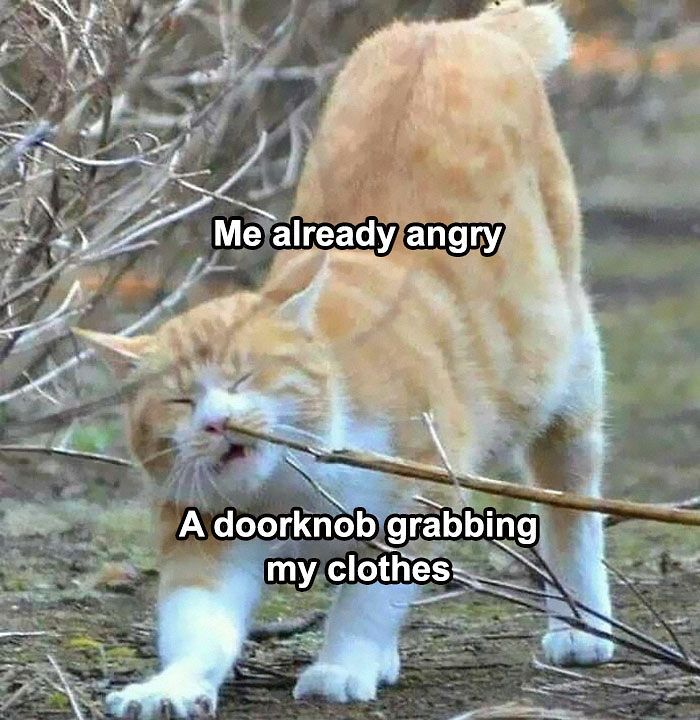 If You Need A Laugh Today, ‘Laughgorithm’ Has Found You The Perfect 104 Memes If You Need A Laugh Today, ‘Laughgorithm’ Has Found You The Perfect 104 Memes