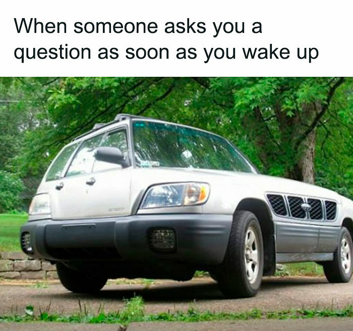 If You Need A Laugh Today, ‘Laughgorithm’ Has Found You The Perfect 104 Memes If You Need A Laugh Today, ‘Laughgorithm’ Has Found You The Perfect 104 Memes