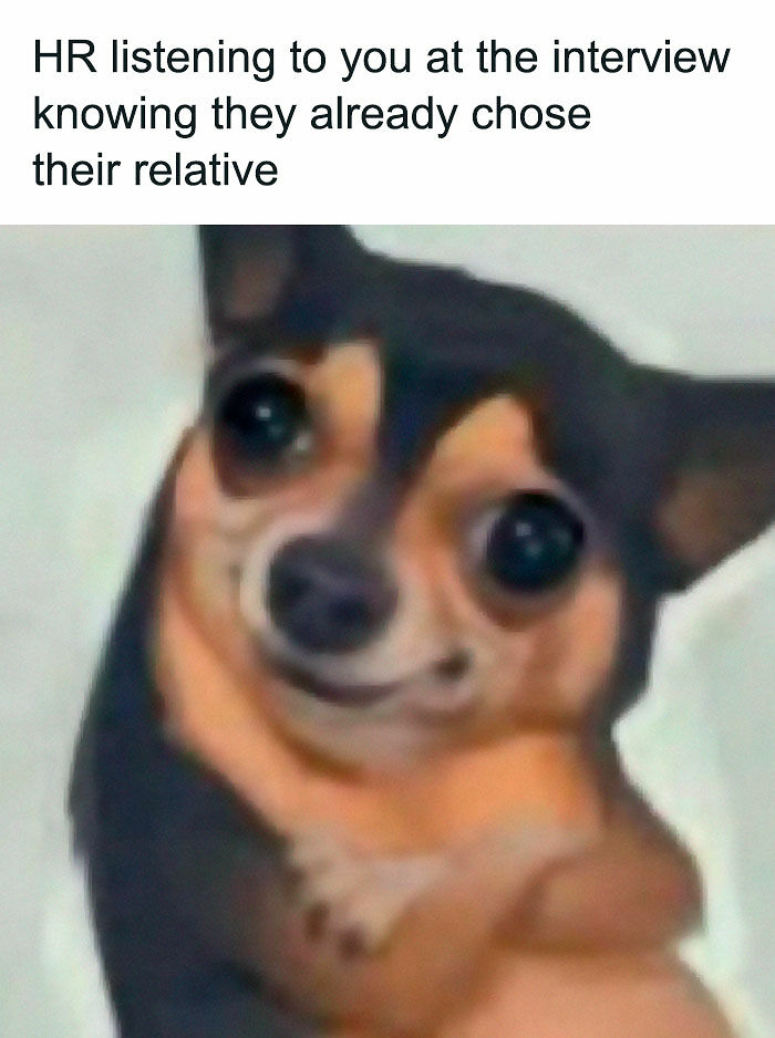 If You Need A Laugh Today, ‘Laughgorithm’ Has Found You The Perfect 104 Memes If You Need A Laugh Today, ‘Laughgorithm’ Has Found You The Perfect 104 Memes