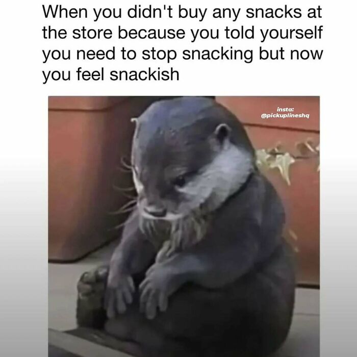 If You Need A Laugh Today, ‘Laughgorithm’ Has Found You The Perfect 104 Memes If You Need A Laugh Today, ‘Laughgorithm’ Has Found You The Perfect 104 Memes