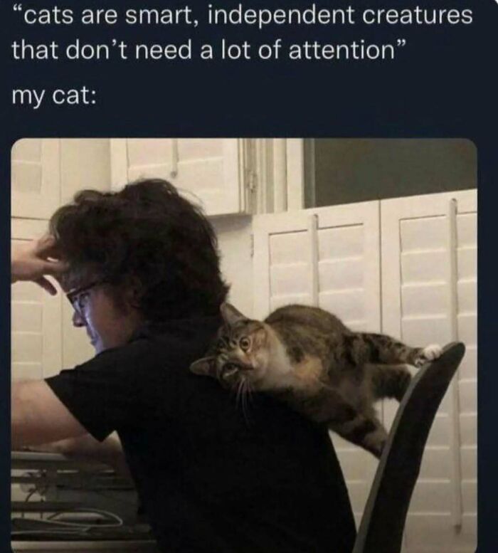 If You Need A Laugh Today, ‘Laughgorithm’ Has Found You The Perfect 104 Memes If You Need A Laugh Today, ‘Laughgorithm’ Has Found You The Perfect 104 Memes