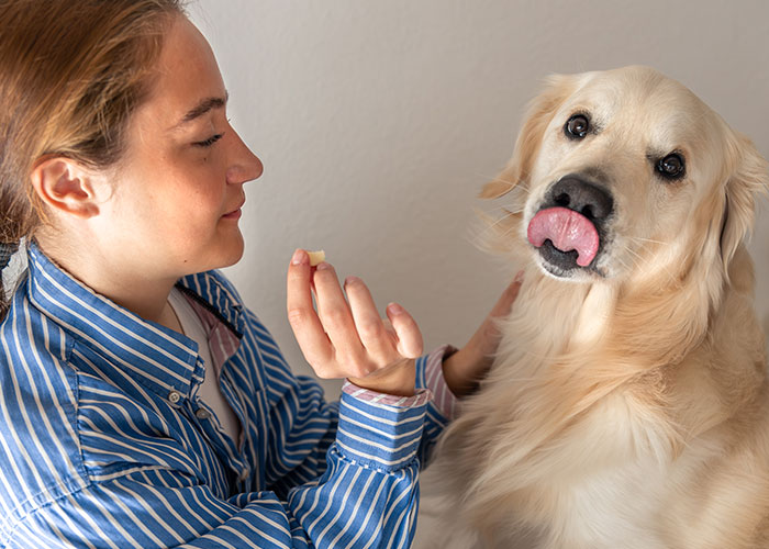 61 Amazing Stories About The Most Intelligent Pets People Have Ever Had