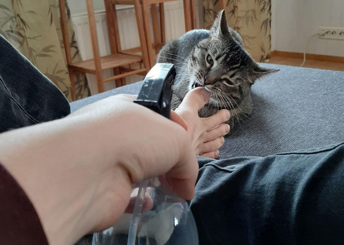 61 Amazing Stories About The Most Intelligent Pets People Have Ever Had