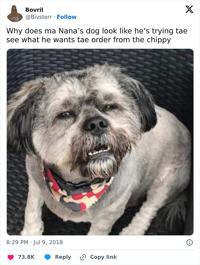 67 Hilarious And Unhinged Posts That Scottish People Blessed The Internet With 67 Hilarious And Unhinged Posts That Scottish People Blessed The Internet With