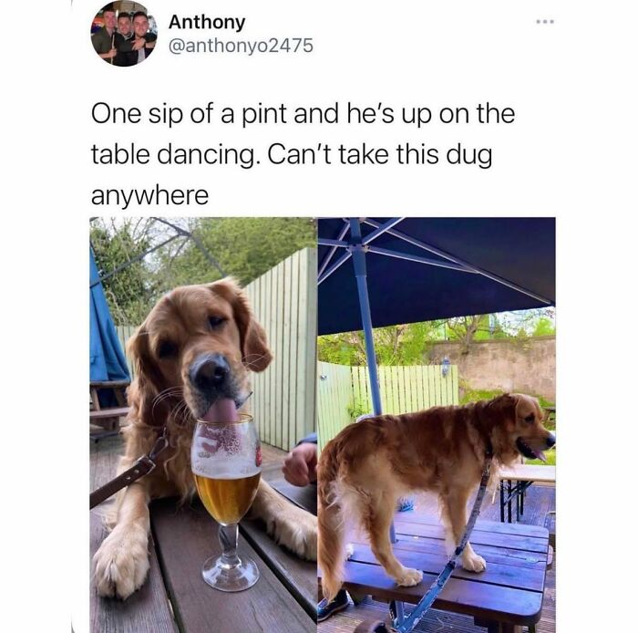 67 Hilarious And Unhinged Posts That Scottish People Blessed The Internet With 67 Hilarious And Unhinged Posts That Scottish People Blessed The Internet With