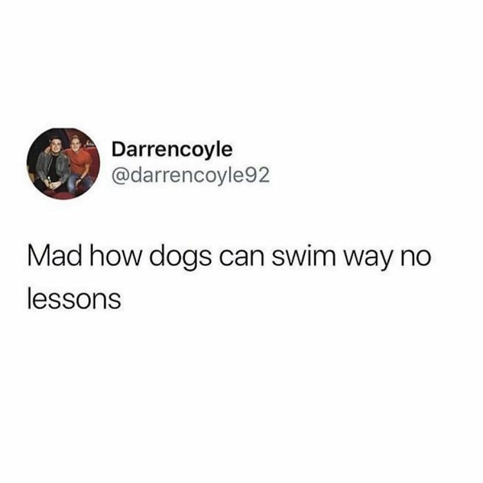 67 Hilarious And Unhinged Posts That Scottish People Blessed The Internet With 67 Hilarious And Unhinged Posts That Scottish People Blessed The Internet With