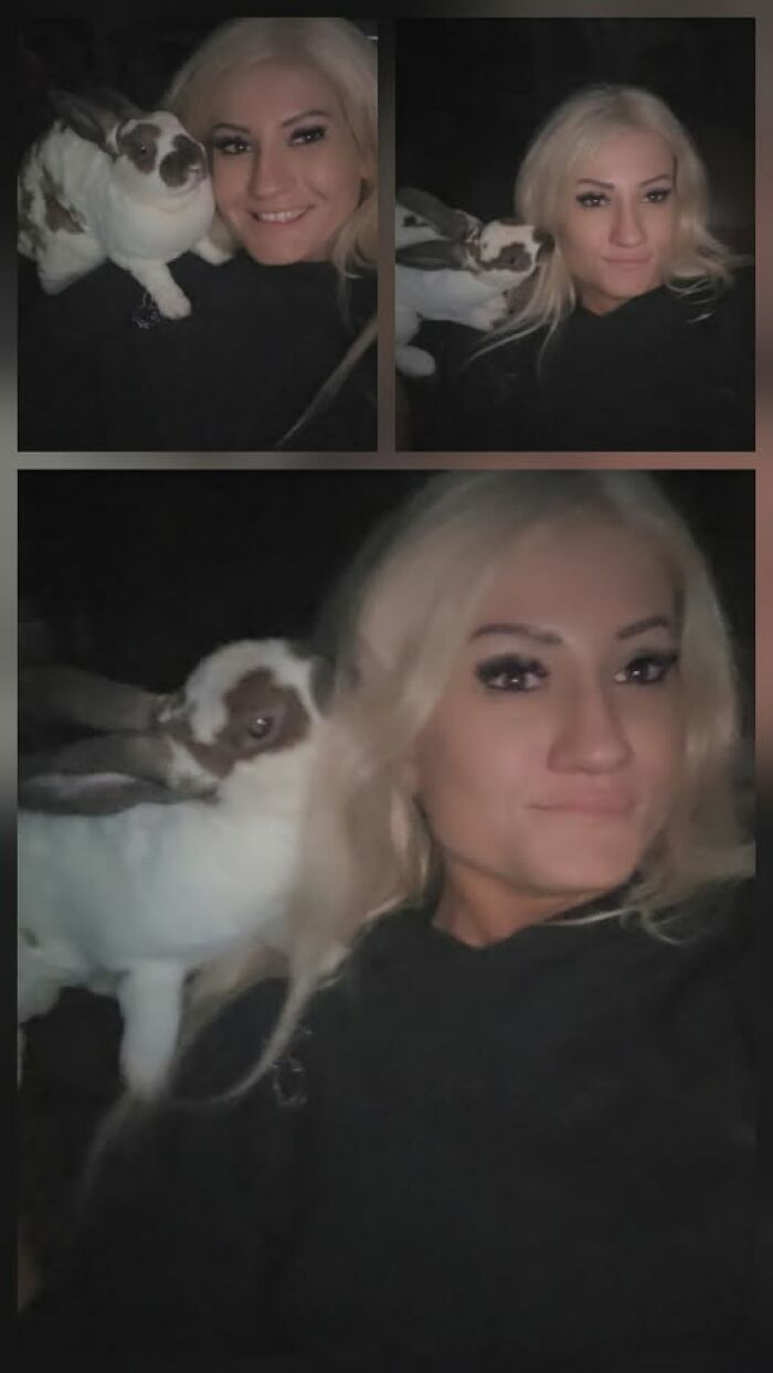 100 Hilarious Posts By Rabbit Owners Exposing These Deceptive Fluffballs (New Pics) 100 Hilarious Posts By Rabbit Owners Exposing These Deceptive Fluffballs (New Pics)