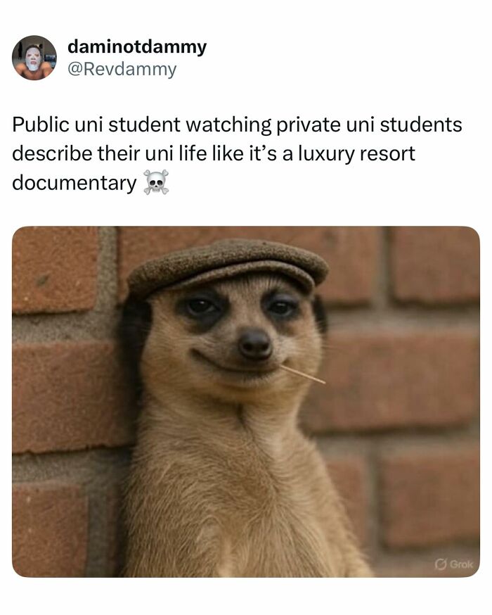 95 Relatable Student Memes For Everyone Who’s Tired, Broke, And Laughing Through The Pain 95 Relatable Student Memes For Everyone Who’s Tired, Broke, And Laughing Through The Pain