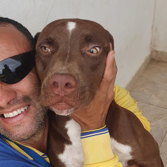 Meet The Mailman Who’s Best Friends With Every Dog On His Route (50 Pics) Meet The Mailman Who’s Best Friends With Every Dog On His Route (50 Pics)