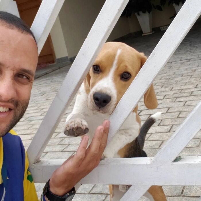 Meet The Mailman Who’s Best Friends With Every Dog On His Route (50 Pics) Meet The Mailman Who’s Best Friends With Every Dog On His Route (50 Pics)
