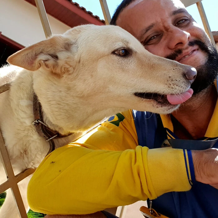 Meet The Mailman Who’s Best Friends With Every Dog On His Route (50 Pics) Meet The Mailman Who’s Best Friends With Every Dog On His Route (50 Pics)