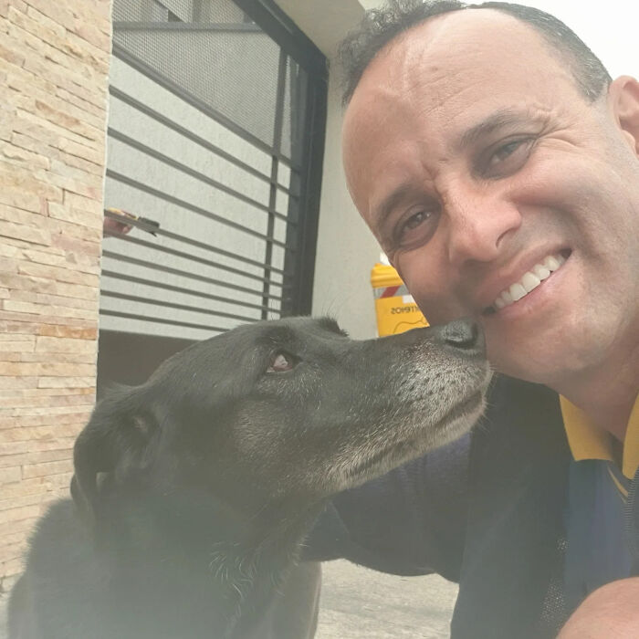 Meet The Mailman Who’s Best Friends With Every Dog On His Route (50 Pics) Meet The Mailman Who’s Best Friends With Every Dog On His Route (50 Pics)