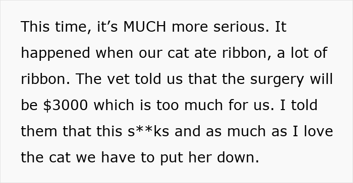 Teen Throws A Hissy Fit After Parents Used $3K College Fund For Cat’s Surgery, Goes No-Contact Teen Throws A Hissy Fit After Parents Used $3K College Fund For Cat’s Surgery, Goes No-Contact