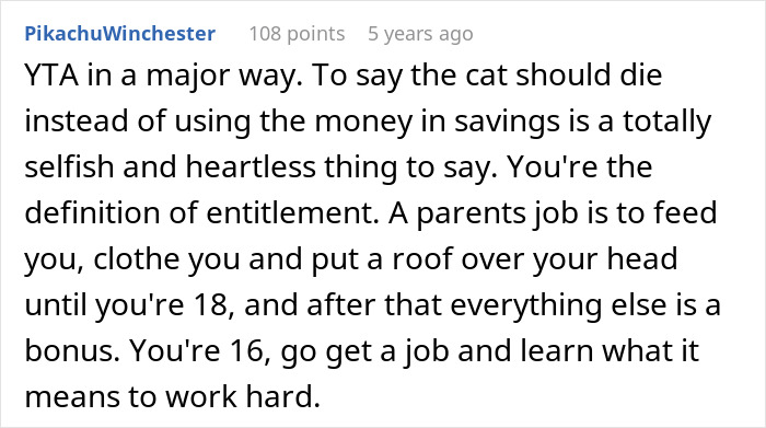 Teen Throws A Hissy Fit After Parents Used $3K College Fund For Cat’s Surgery, Goes No-Contact Teen Throws A Hissy Fit After Parents Used $3K College Fund For Cat’s Surgery, Goes No-Contact