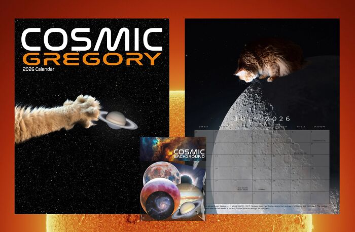 Meet Gregory, The Rescue Cat Who Now Stars In His Owner’s Space Photography Calendar (12 Pics) Meet Gregory, The Rescue Cat Who Now Stars In His Owner’s Space Photography Calendar (12 Pics)