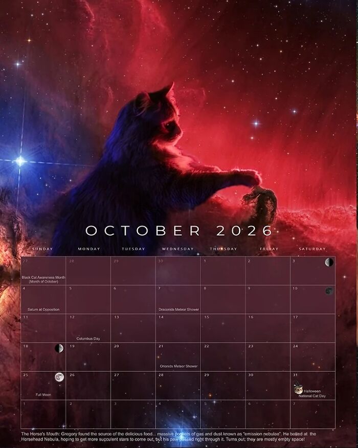 Meet Gregory, The Rescue Cat Who Now Stars In His Owner’s Space Photography Calendar (12 Pics) Meet Gregory, The Rescue Cat Who Now Stars In His Owner’s Space Photography Calendar (12 Pics)
