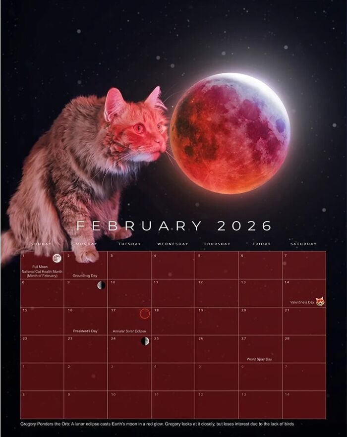 Meet Gregory, The Rescue Cat Who Now Stars In His Owner’s Space Photography Calendar (12 Pics)
