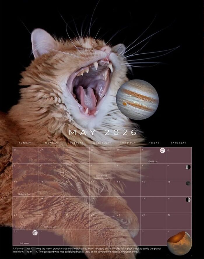 Meet Gregory, The Rescue Cat Who Now Stars In His Owner’s Space Photography Calendar (12 Pics)