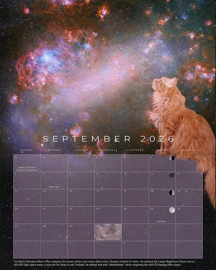 Meet Gregory, The Rescue Cat Who Now Stars In His Owner’s Space Photography Calendar (12 Pics)