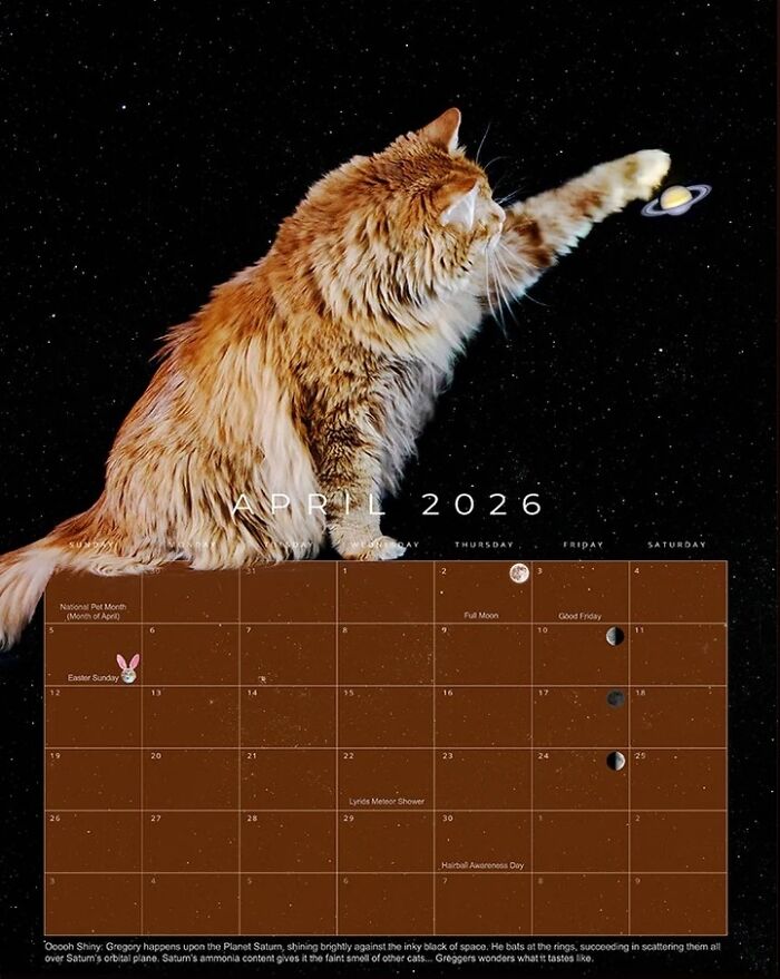 Meet Gregory, The Rescue Cat Who Now Stars In His Owner’s Space Photography Calendar (12 Pics) Meet Gregory, The Rescue Cat Who Now Stars In His Owner’s Space Photography Calendar (12 Pics)
