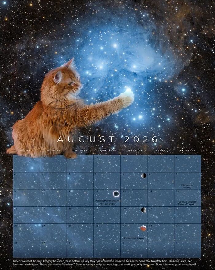 Meet Gregory, The Rescue Cat Who Now Stars In His Owner’s Space Photography Calendar (12 Pics) Meet Gregory, The Rescue Cat Who Now Stars In His Owner’s Space Photography Calendar (12 Pics)