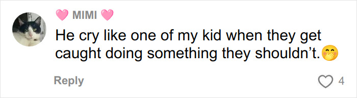 Drama Erupts At Miss Universe As Miss Mexico Hits Back At VP’s “Dumb” Comment