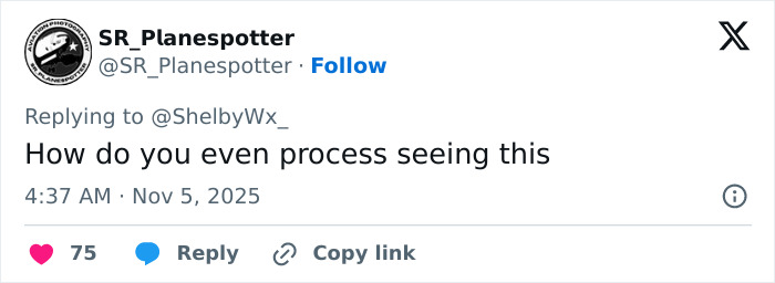 “Most Terrifying Plane Crash Video”: Witnesses Disturbed After Watching Horrific UPS Plane Crash “Most Terrifying Plane Crash Video”: Witnesses Disturbed After Watching Horrific UPS Plane Crash