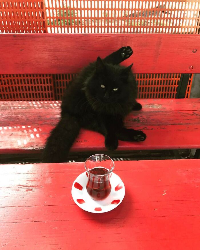 50 Beautifully Candid Moments From Istanbul’s Streets By Sami Uçan 50 Beautifully Candid Moments From Istanbul’s Streets By Sami Uçan