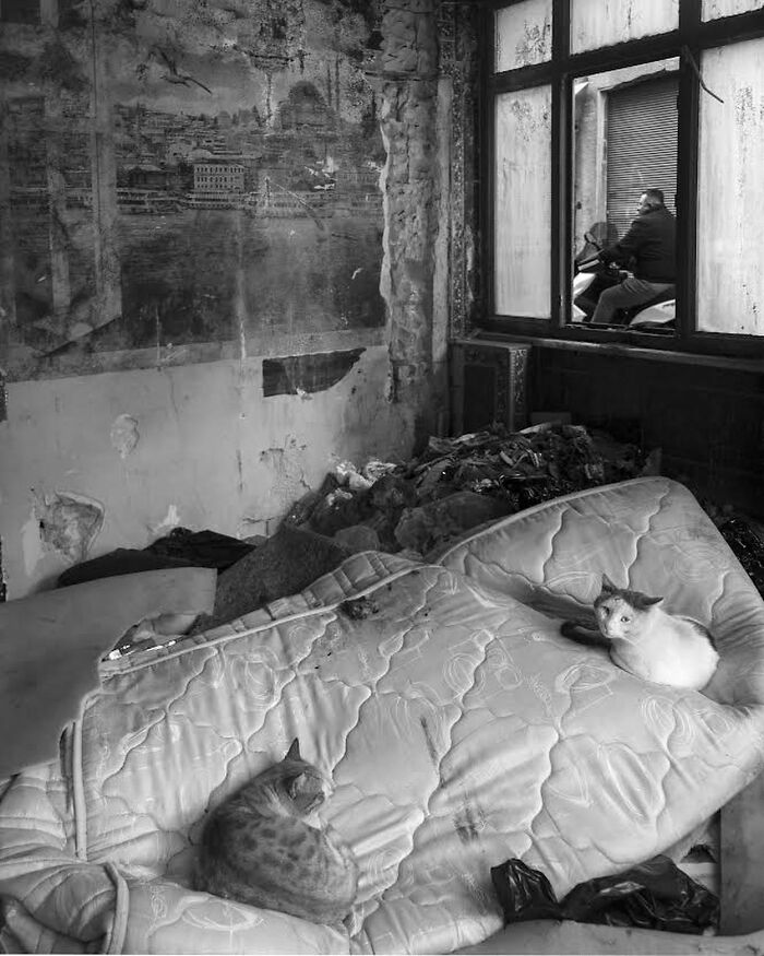 50 Beautifully Candid Moments From Istanbul’s Streets By Sami Uçan 50 Beautifully Candid Moments From Istanbul’s Streets By Sami Uçan