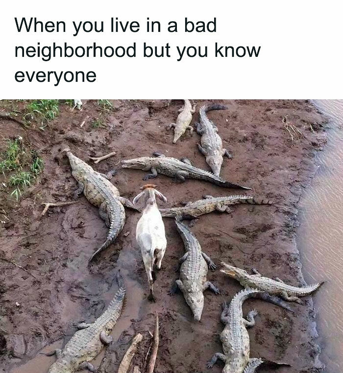 49 Memes That Are So Relatable They’re Actually Offensive (New Pics) 49 Memes That Are So Relatable They’re Actually Offensive (New Pics)