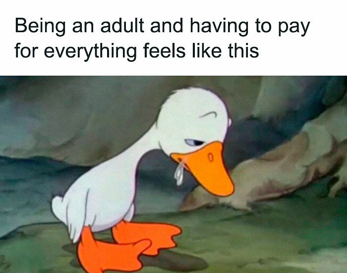 49 Memes That Are So Relatable They’re Actually Offensive (New Pics) 49 Memes That Are So Relatable They’re Actually Offensive (New Pics)