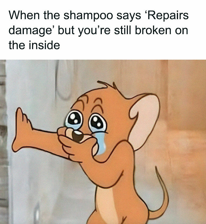 49 Memes That Are So Relatable They’re Actually Offensive (New Pics) 49 Memes That Are So Relatable They’re Actually Offensive (New Pics)