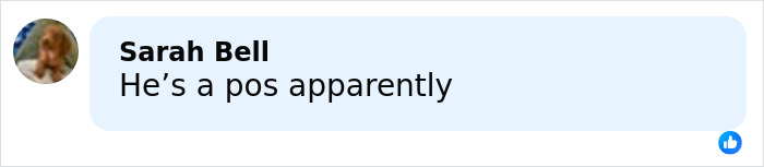 Millie Bobby Brown And David Harbour’s Complex 10-Year Relationship Resurfaces Amid Harassment Allegations Millie Bobby Brown And David Harbour’s Complex 10-Year Relationship Resurfaces Amid Harassment Allegations