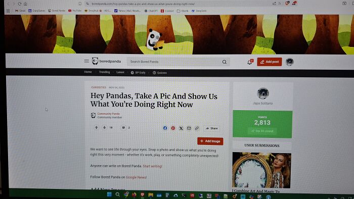 Hey Pandas, Take A Pic And Show Us What You’re Doing Right Now Hey Pandas, Take A Pic And Show Us What You’re Doing Right Now