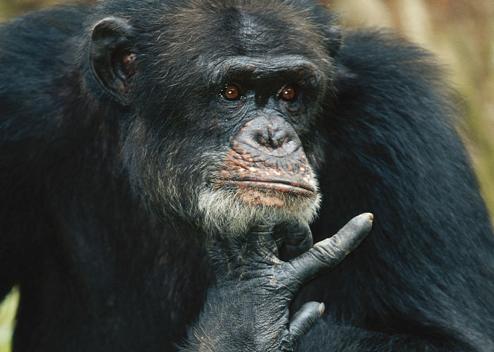 41 Intriguing “Today I Learned” Facts That Show How Little We Actually Know (New Facts) 41 Intriguing “Today I Learned” Facts That Show How Little We Actually Know (New Facts)