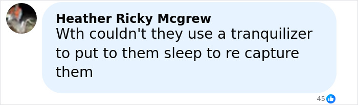People Can’t Decide If They Support Mom Who Unalived Research Monkey Who Invaded Her Backyard People Can’t Decide If They Support Mom Who Unalived Research Monkey Who Invaded Her Backyard