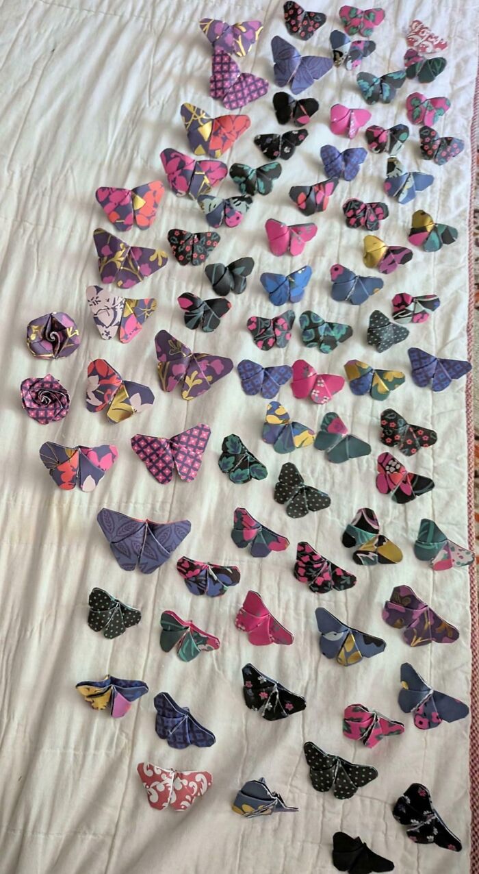 “All Things Knolled”: 106 Images That Might Soothe And Satisfy Your Need For Order (New Pics) “All Things Knolled”: 106 Images That Might Soothe And Satisfy Your Need For Order (New Pics)