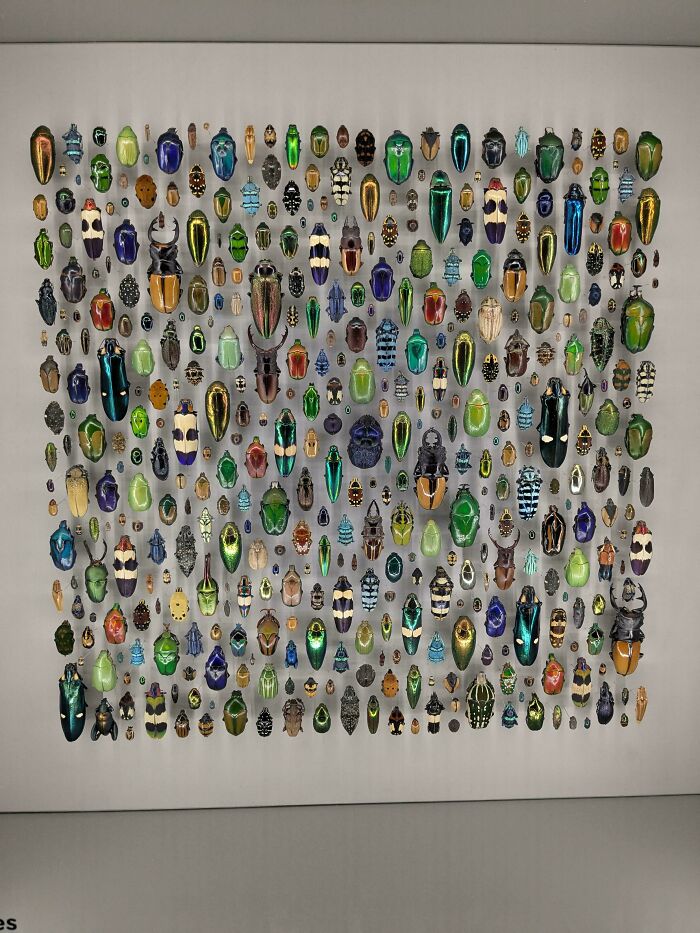 “All Things Knolled”: 106 Images That Might Soothe And Satisfy Your Need For Order (New Pics) “All Things Knolled”: 106 Images That Might Soothe And Satisfy Your Need For Order (New Pics)