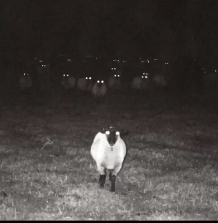 84 Frozen Frames That Tell You Everything Without Showing The Aftermath 84 Frozen Frames That Tell You Everything Without Showing The Aftermath