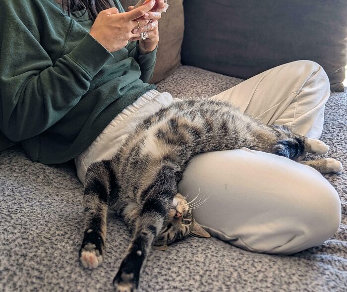 124 Times People Saw Animals Enjoying A Nap And Just Had To Take A Picture 124 Times People Saw Animals Enjoying A Nap And Just Had To Take A Picture