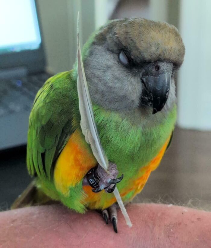 124 Times People Saw Animals Enjoying A Nap And Just Had To Take A Picture 124 Times People Saw Animals Enjoying A Nap And Just Had To Take A Picture