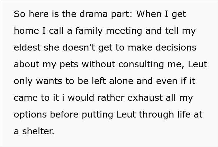 Pregnant Daughter Decides To Put Dad’s Cat In A Shelter Because Of Her Baby’s Safety, Gets Kicked Out Pregnant Daughter Decides To Put Dad’s Cat In A Shelter Because Of Her Baby’s Safety, Gets Kicked Out