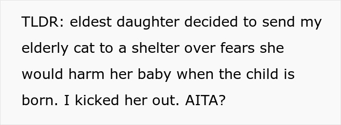 Pregnant Daughter Decides To Put Dad’s Cat In A Shelter Because Of Her Baby’s Safety, Gets Kicked Out Pregnant Daughter Decides To Put Dad’s Cat In A Shelter Because Of Her Baby’s Safety, Gets Kicked Out