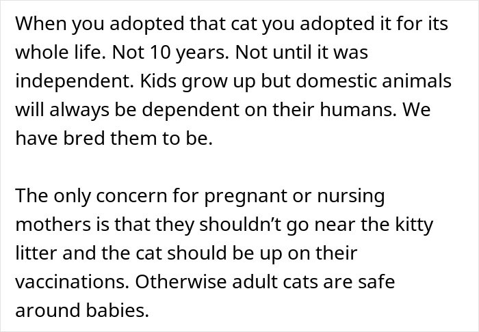 Pregnant Daughter Decides To Put Dad’s Cat In A Shelter Because Of Her Baby’s Safety, Gets Kicked Out Pregnant Daughter Decides To Put Dad’s Cat In A Shelter Because Of Her Baby’s Safety, Gets Kicked Out